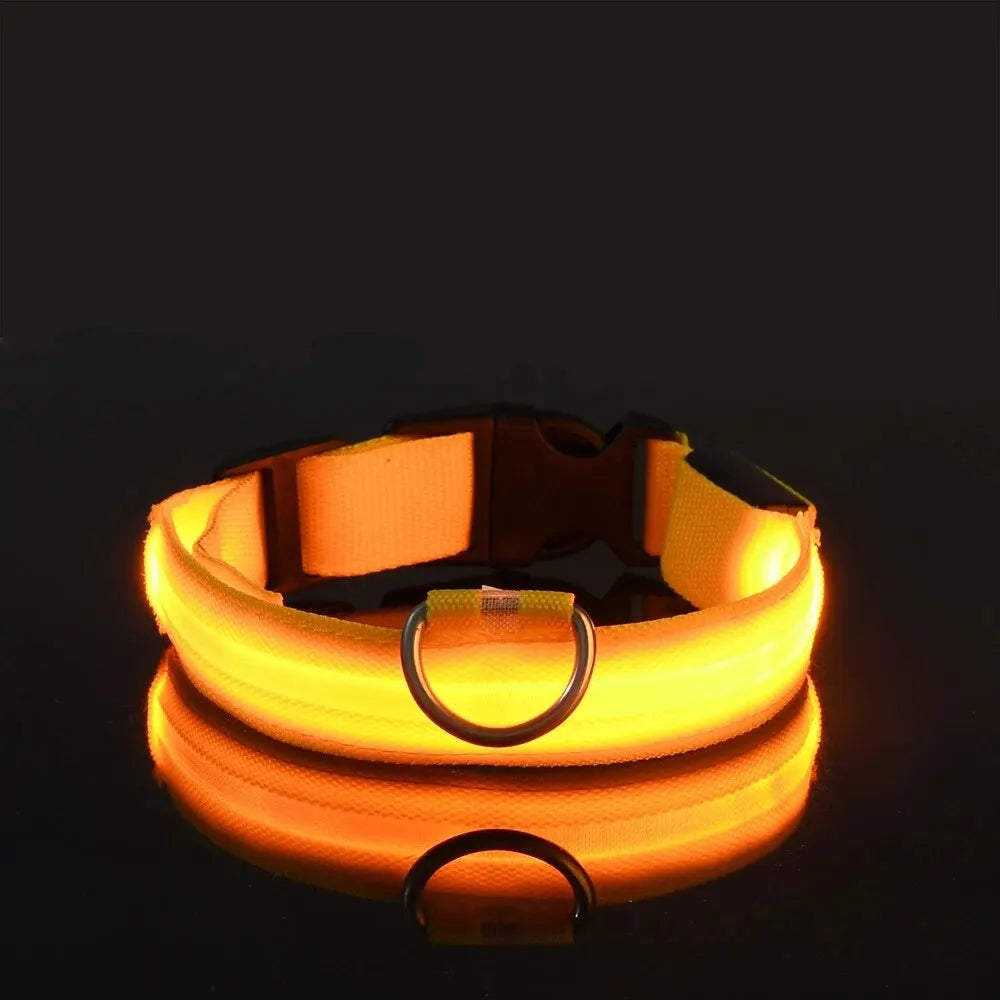 LED Nylon Glow-in-the-Dark Dog Leash