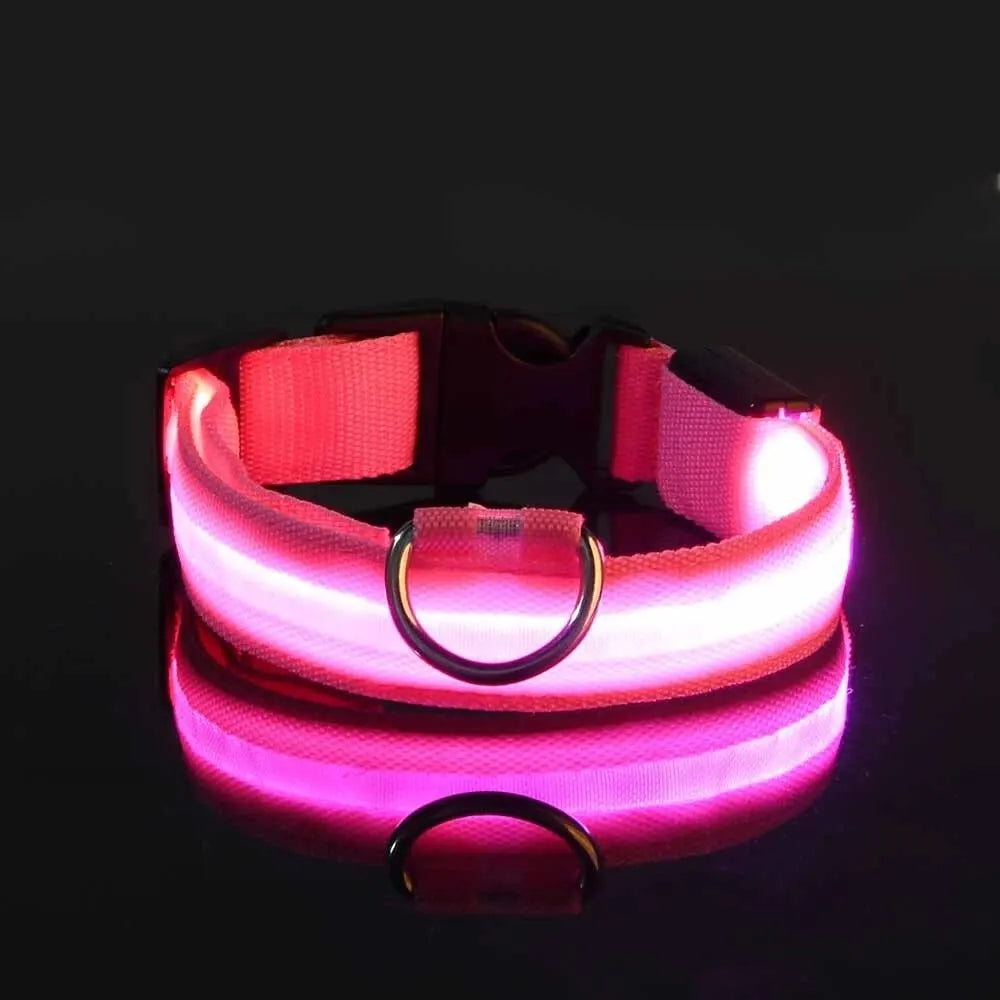 LED Nylon Glow-in-the-Dark Dog Leash