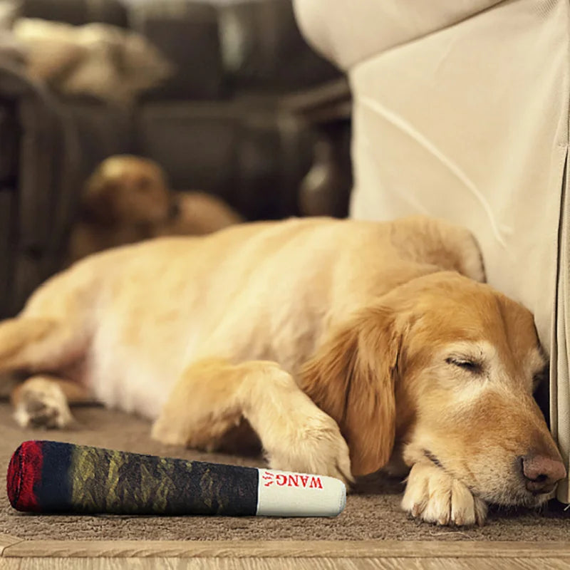 Durable Interactive Dog Chew Toy