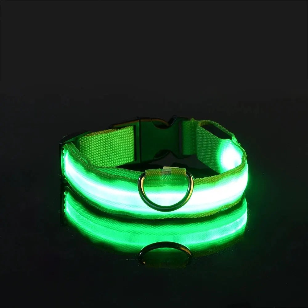 LED Nylon Glow-in-the-Dark Dog Leash