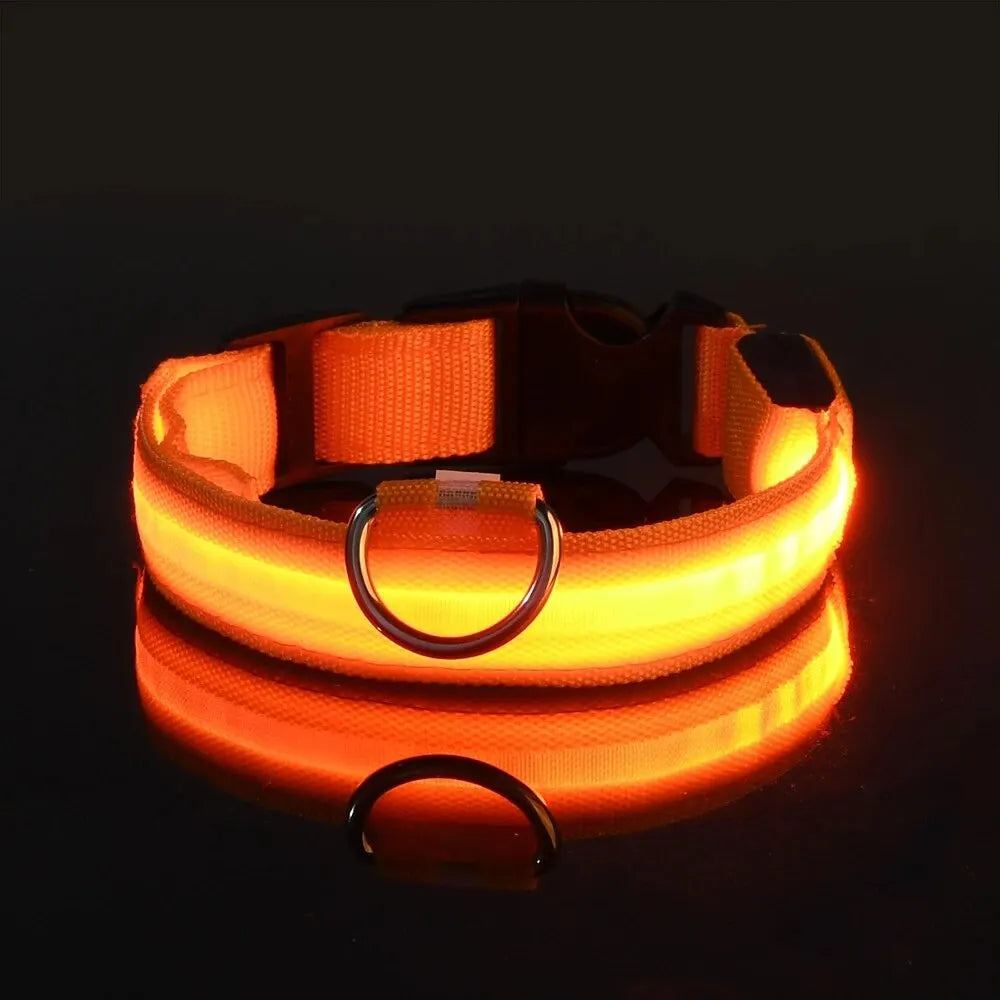 LED Nylon Glow-in-the-Dark Dog Leash