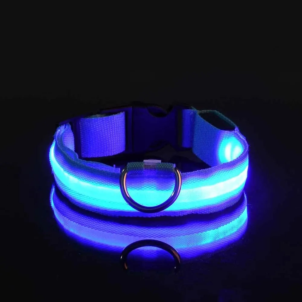 LED Nylon Glow-in-the-Dark Dog Leash