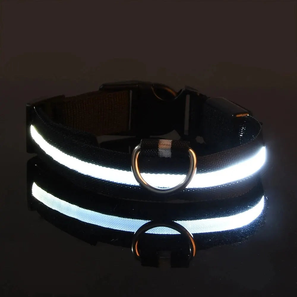 LED Nylon Glow-in-the-Dark Dog Leash
