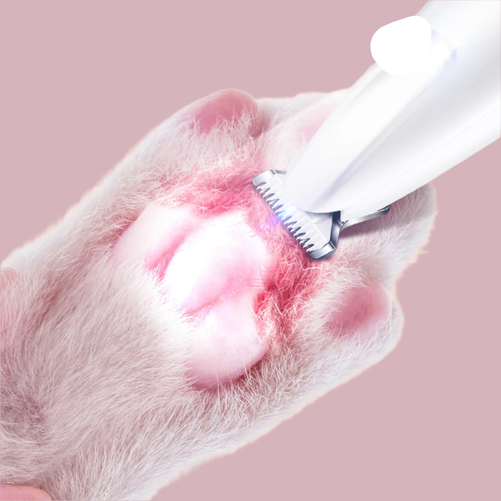 LED Light Hair Trimmer for Pets