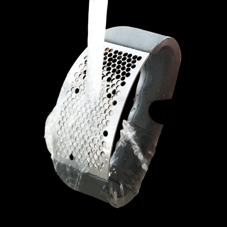Stainless Steel Garlic Press Crusher