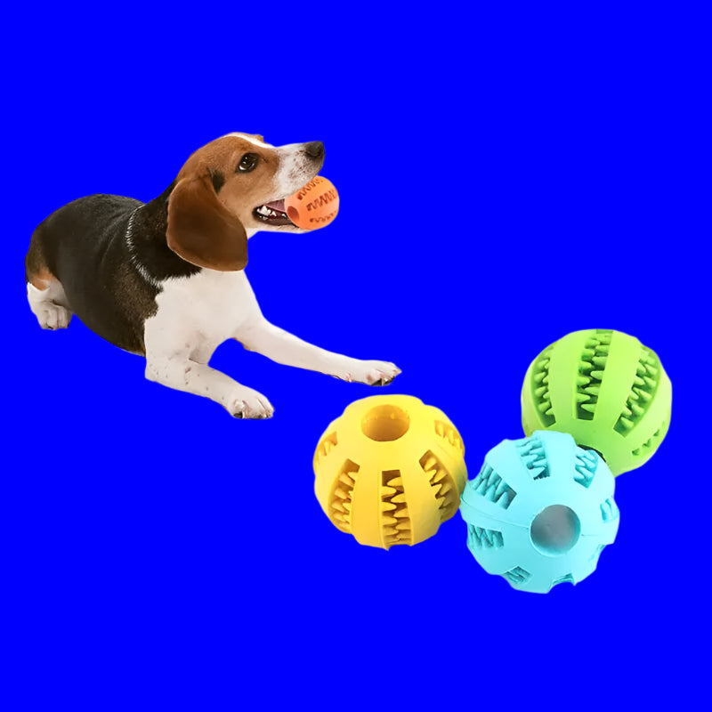 Nontoxic Bite-Resistant Pet Toy Ball