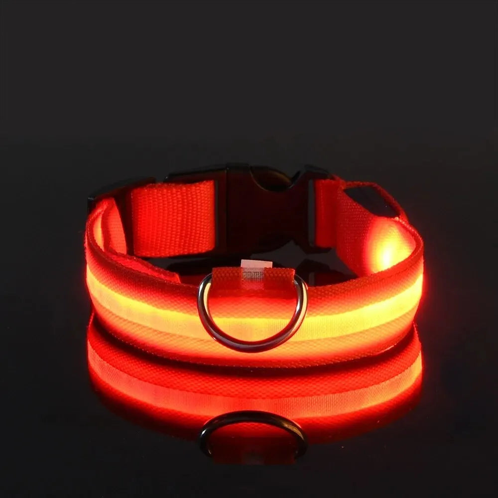 LED Nylon Glow-in-the-Dark Dog Leash