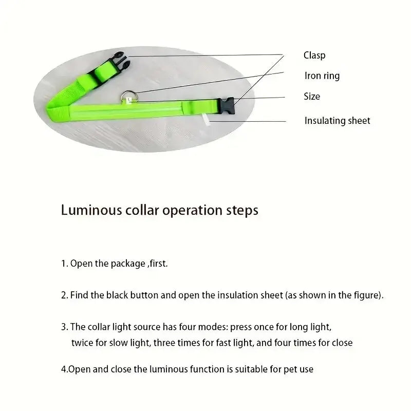 LED Nylon Glow-in-the-Dark Dog Leash