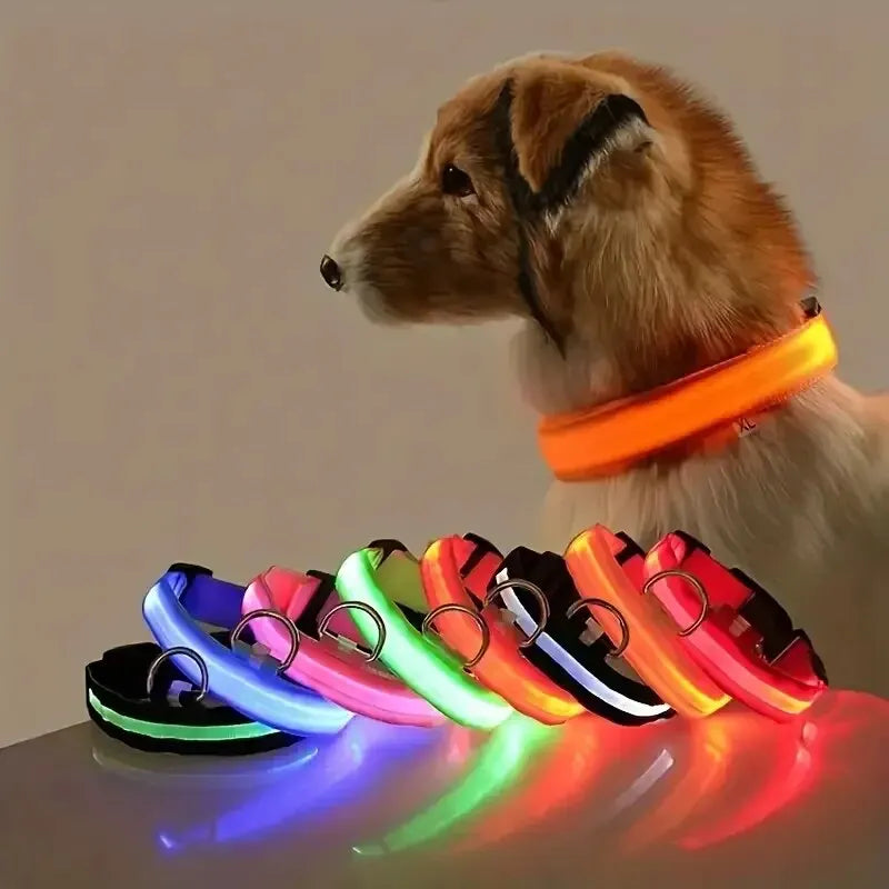 LED Nylon Glow-in-the-Dark Dog Leash