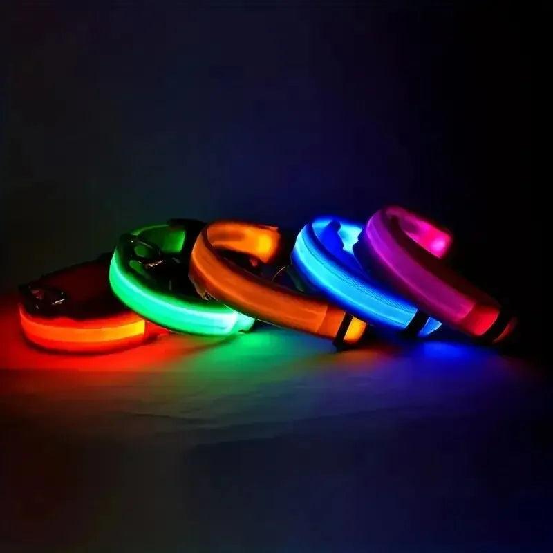 LED Nylon Glow-in-the-Dark Dog Leash