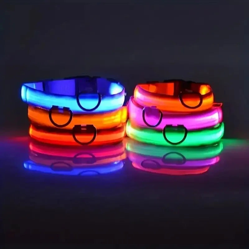 LED Nylon Glow-in-the-Dark Dog Leash